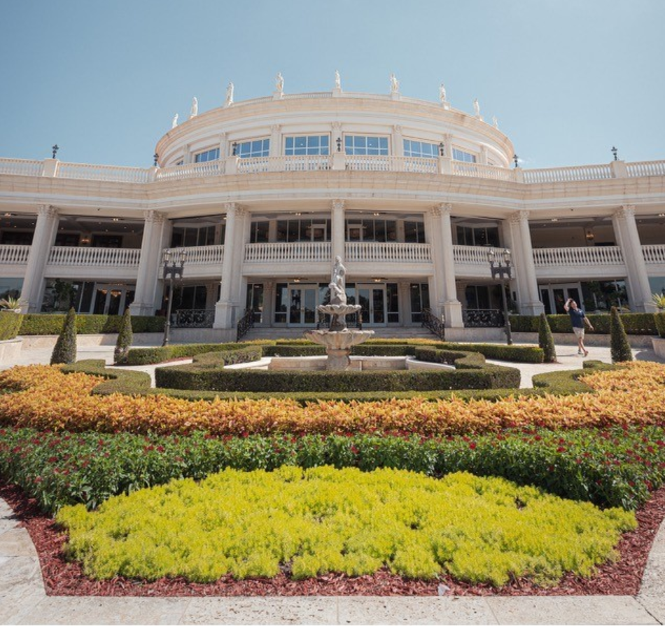 “И крылья эту свадьбу вдаль несли”